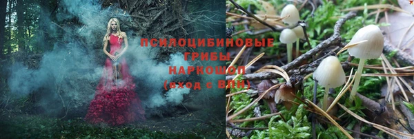прущие грибы Баксан