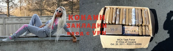 прущие грибы Баксан