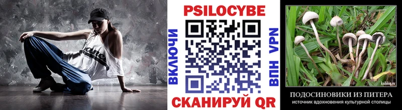 Галлюциногенные грибы Psilocybine cubensis  darknet клад  Бирск 
